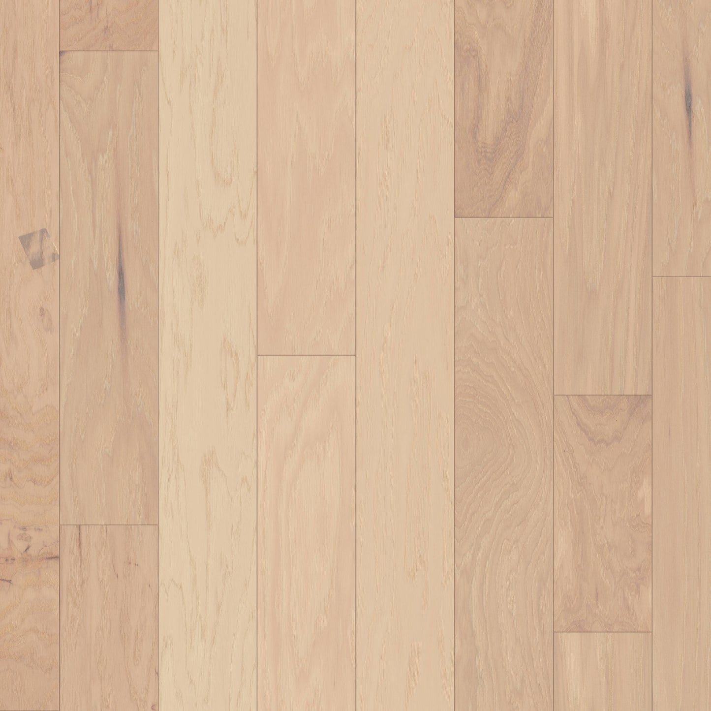 Shaw Hickory Forest hardwood flooring — primary plank view