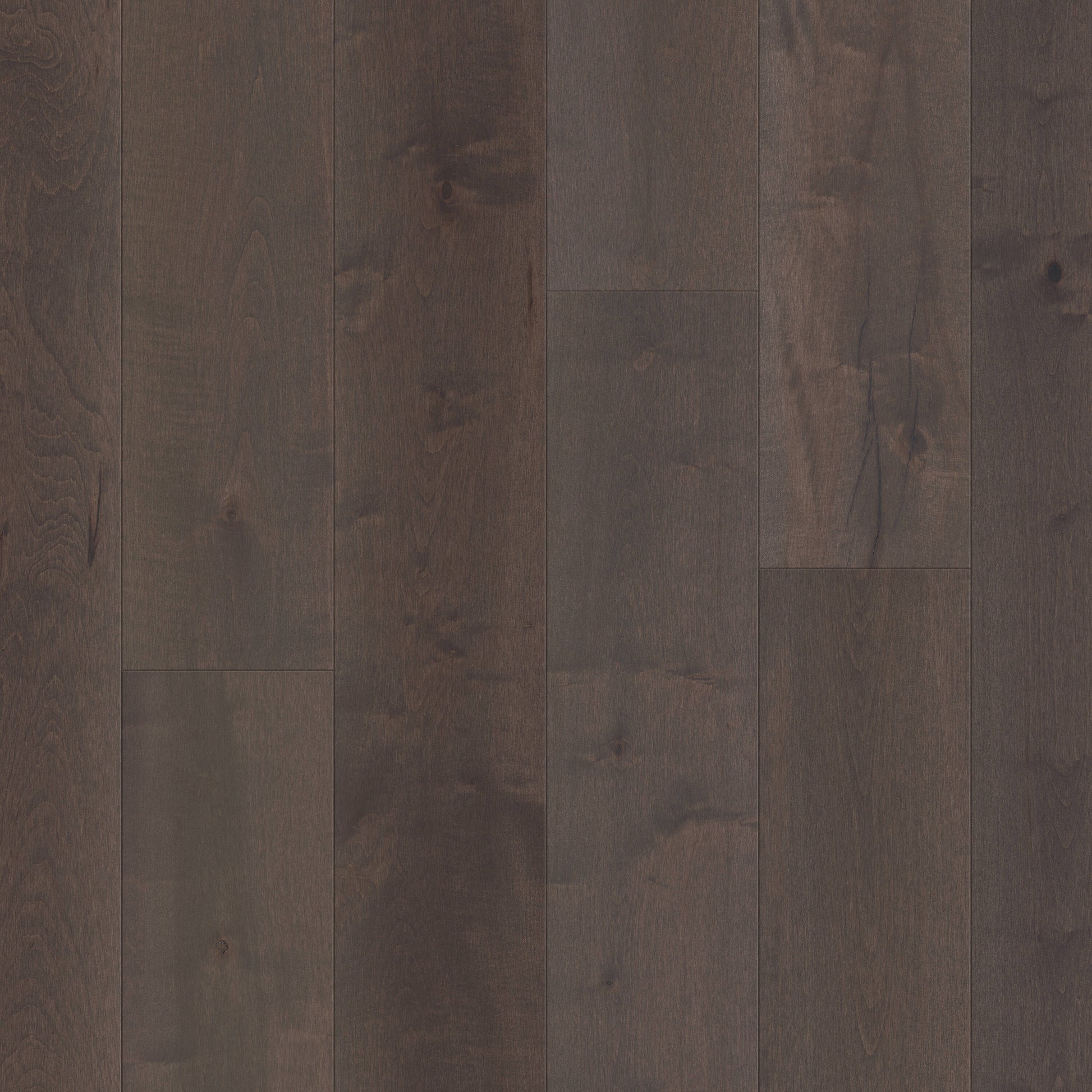 Shaw Maple Reiger hardwood flooring — primary plank view
