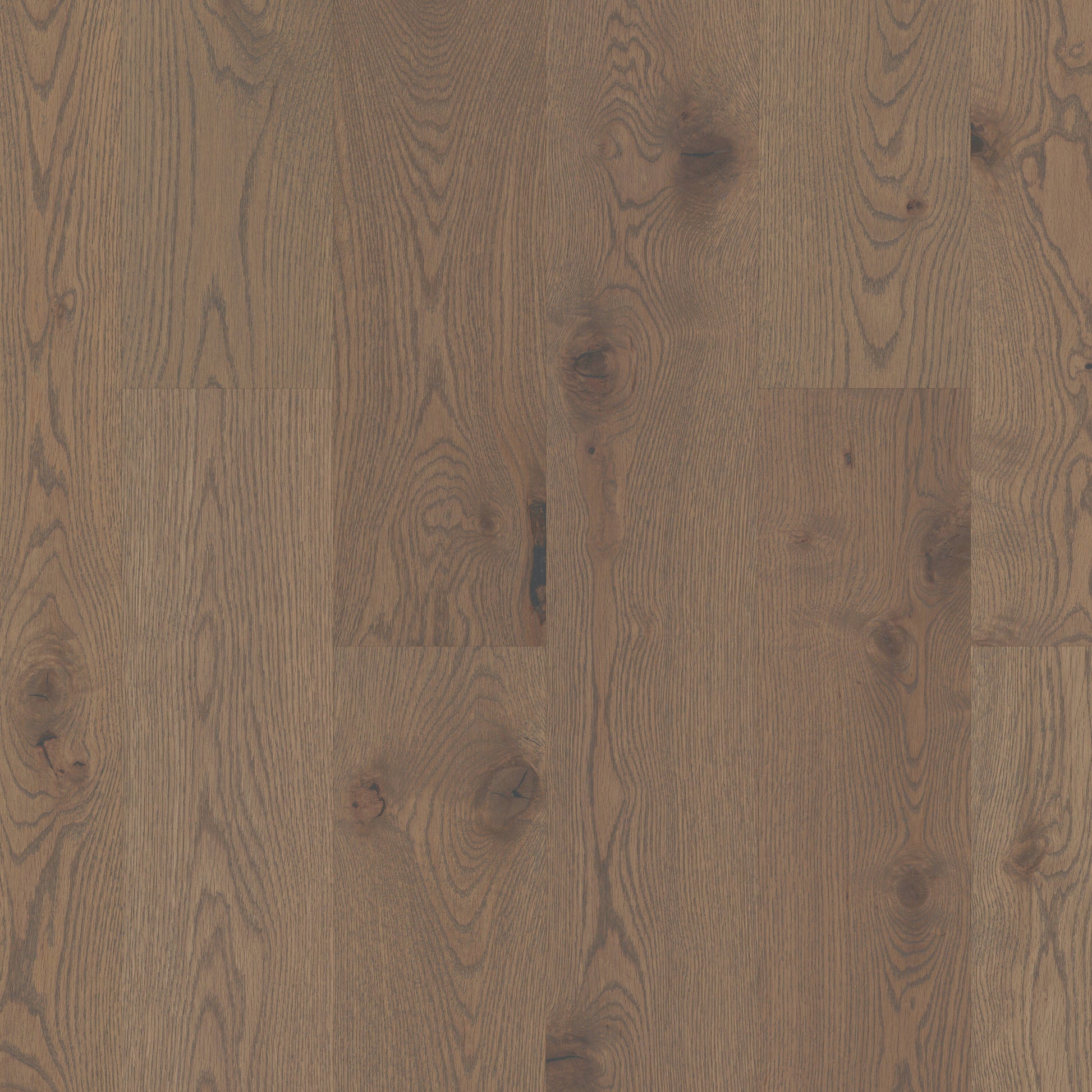 Shaw White oak Dublin hardwood flooring — primary plank view