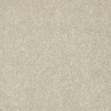 STAINMASTER PetProtect Baxter I Sadie Textured Carpet (Indoor)