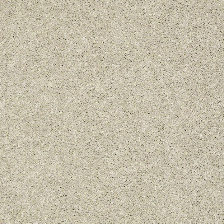 STAINMASTER PetProtect Baxter I Sadie Textured Carpet (Indoor)