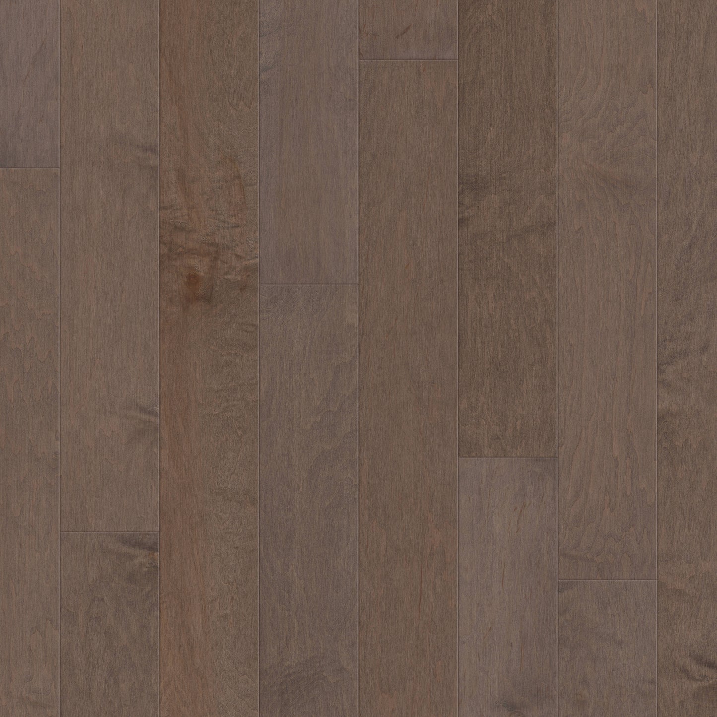 Shaw Maple Cortado hardwood flooring — primary plank view
