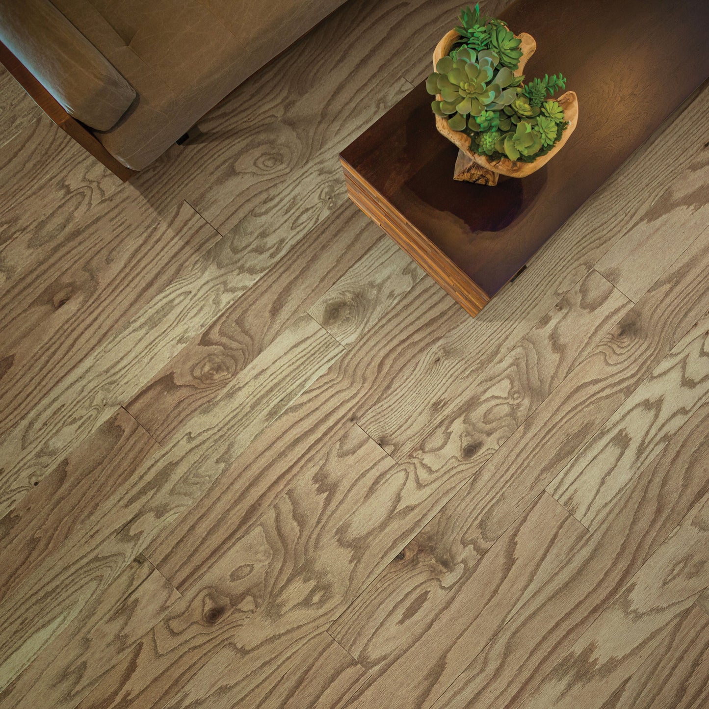 Shaw Red oak Cubano hardwood flooring — installed room view