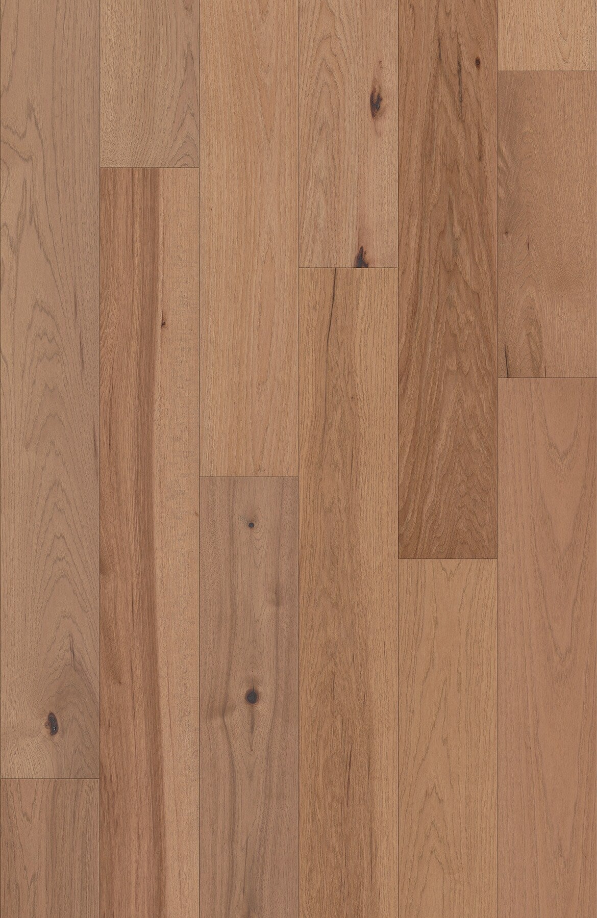 Shaw Hickory Sandbar hardwood flooring — lifestyle view