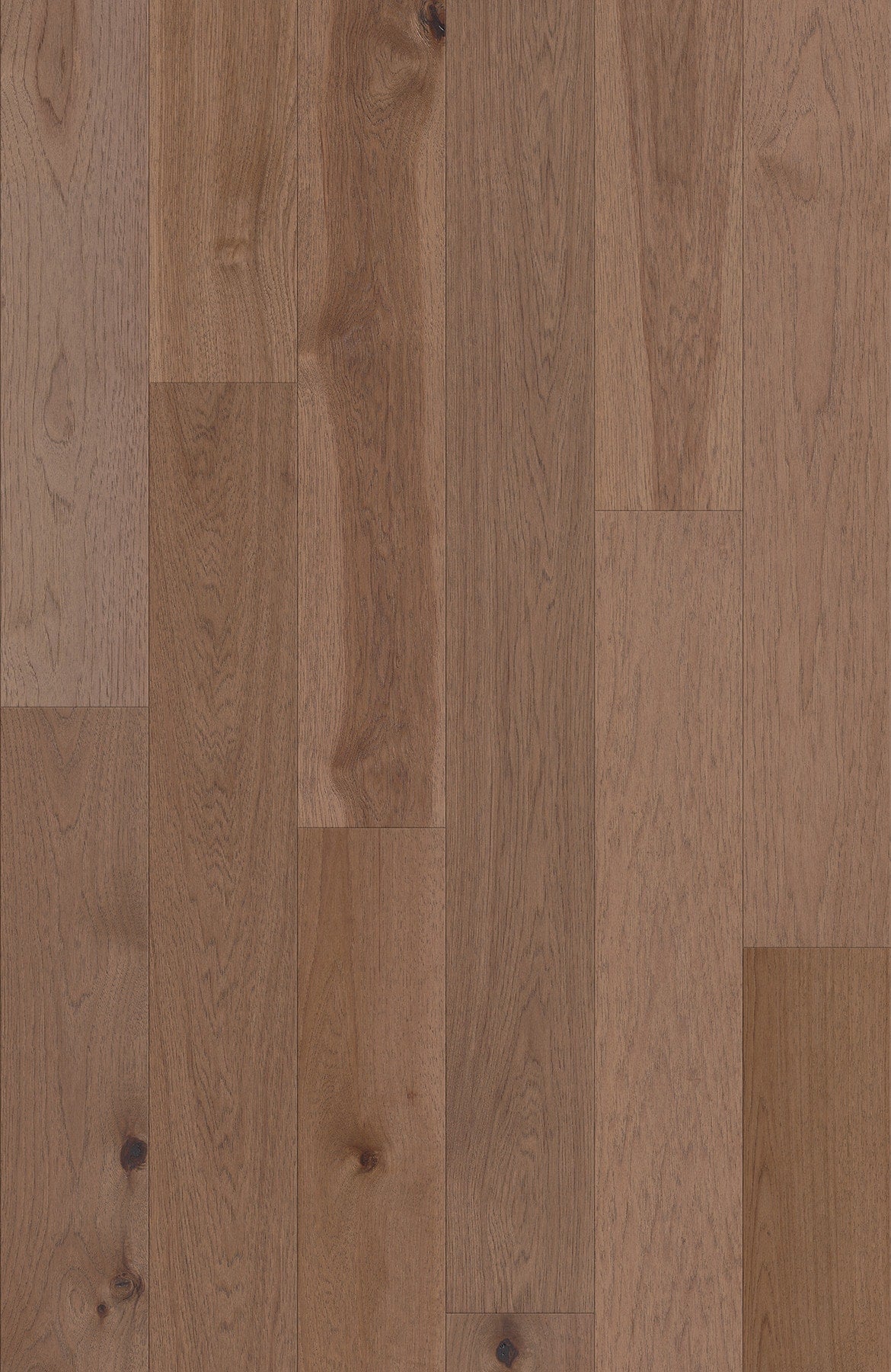 Shaw Hickory Tides hardwood flooring — lifestyle view