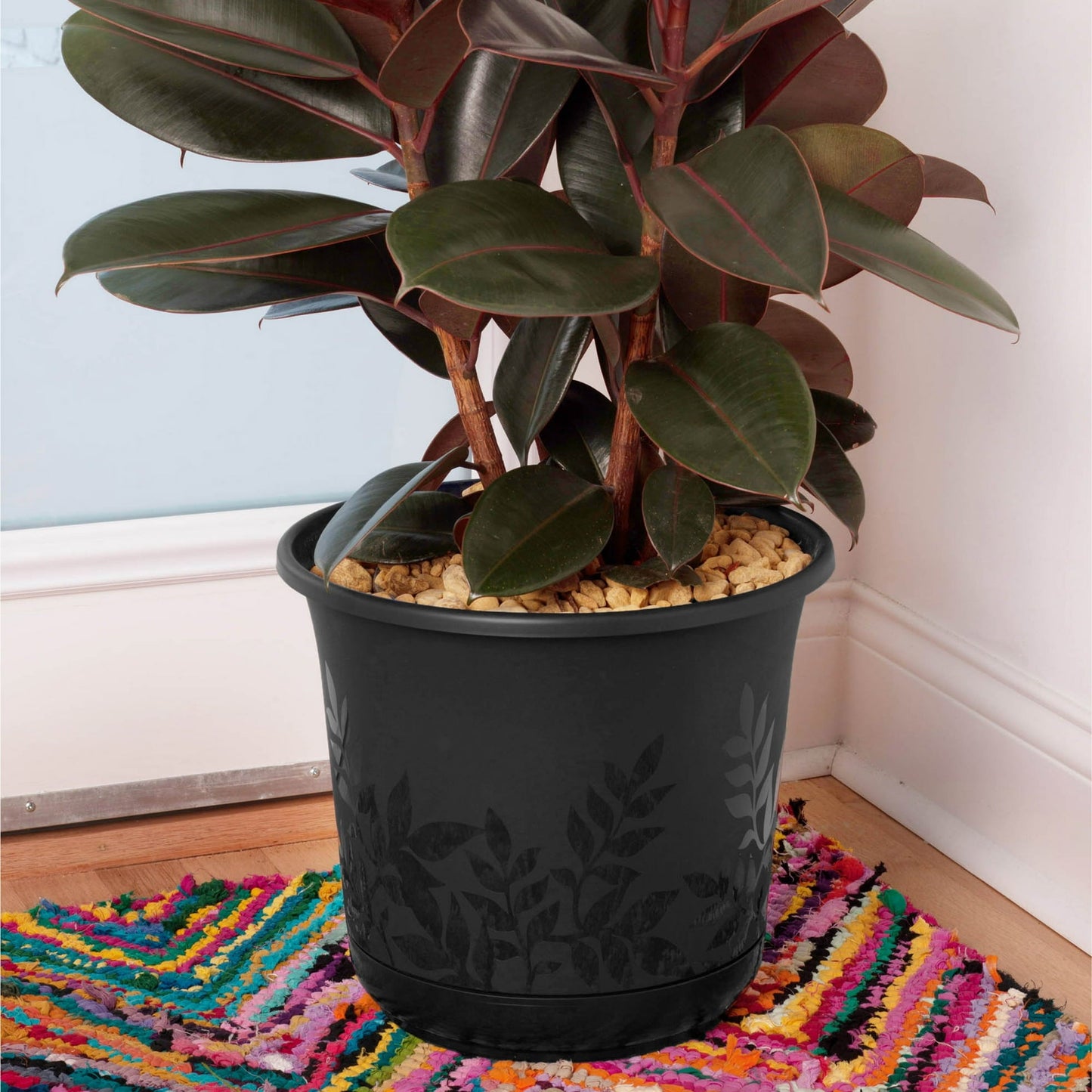 Bloem Llc FP0800 8" Black Freesia Planter
