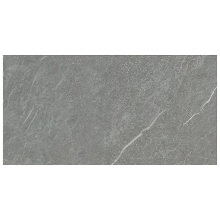 Exeter 12 in. x 24 in. Matte Porcelain Stone Look Floor and Wall Tile (14 sq. ft./Case)