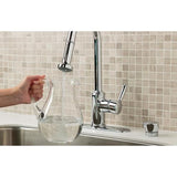 Single Stage Filtration System
