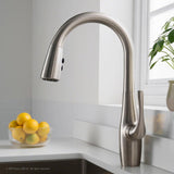 Esina Single-Handle Pull-Down Sprayer Kitchen Faucet with Dual Function Sprayhead in All-Brite Spot Free Stainless Steel - Super Arbor
