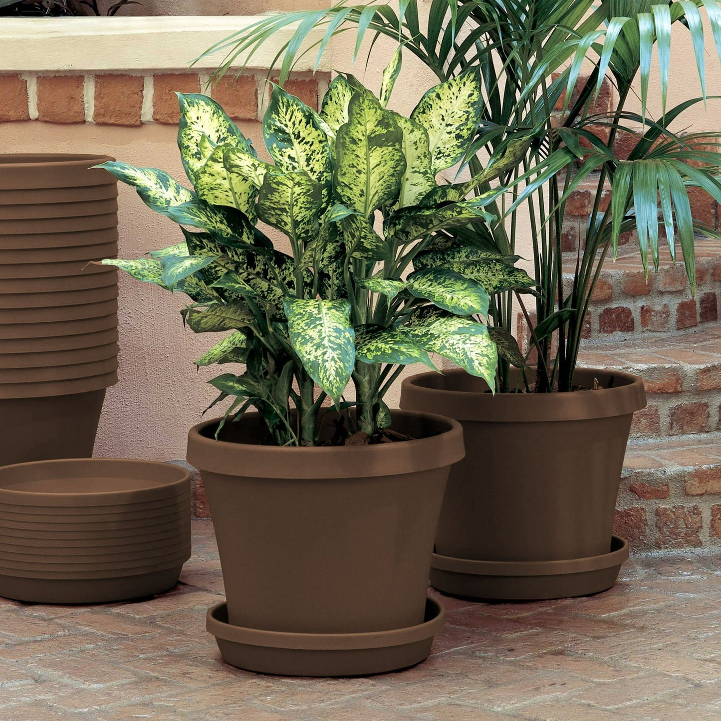 Bloem Terra Pot Planter 8" Chocolate