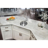 All-in-1 Undermount 18-Gauge Stainless Steel 16 in. 0-Hole Round Single Bowl Bar Sink with Gooseneck Kitchen Faucet