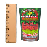 Mosser Lee 3 oz. Reindeer Moss Assorted Collection - Super Arbor