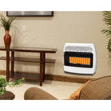 30,000 BTU Natural Gas Infrared Natural Gas Wall Heater - Super Arbor