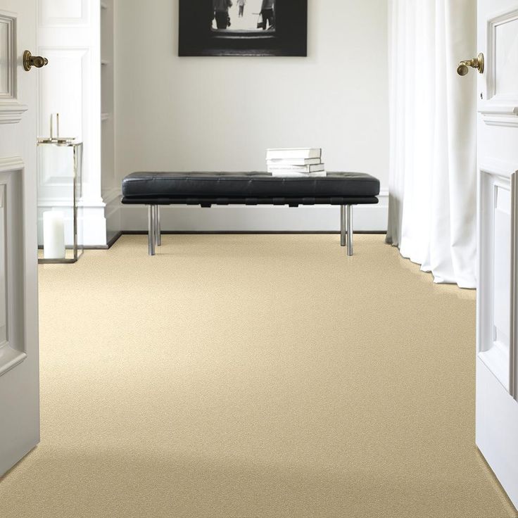 STAINMASTER PetProtect Baxter I Spaniel Textured Carpet (Indoor)