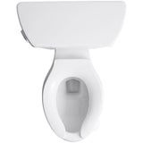 Wellworth Classic 2-Piece 1.6 GPF Single Flush Elongated Toilet in White - Super Arbor