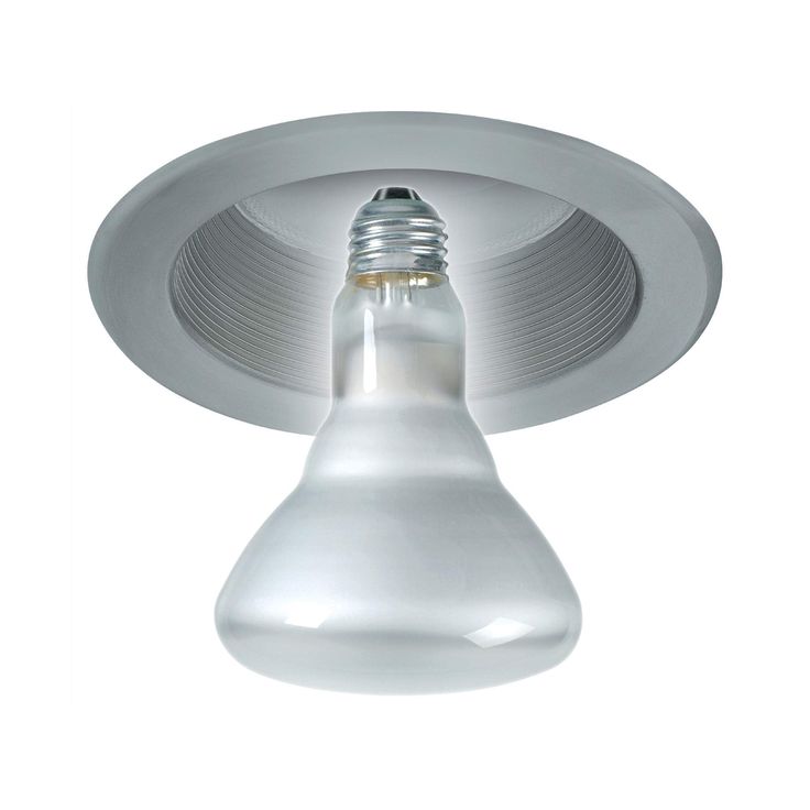 Philips 65-Watt Incandescent BR30 Flood Light Bulb Soft White (2700K) (12-Pack)