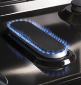 GE 30 in. 5.0 cu. ft. Gas Range in Stainless Steel