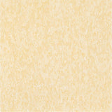 Armstrong Imperial Texture VCT 12 in. x 12 in. Blue Cloud Standard Excelon Commercial Vinyl Tile (45 sq. ft. / case) - Super Arbor