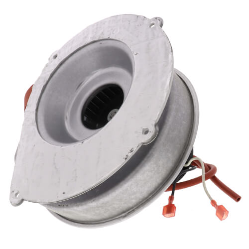 Rheem 70-101087-81 blower motor - detail view (Voltage: 120v; RPM: 3000)