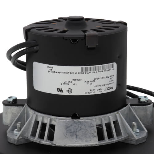 Rheem 70-21496-83 blower motor - label view (Voltage: 120v; Product Type: Blower Motor)