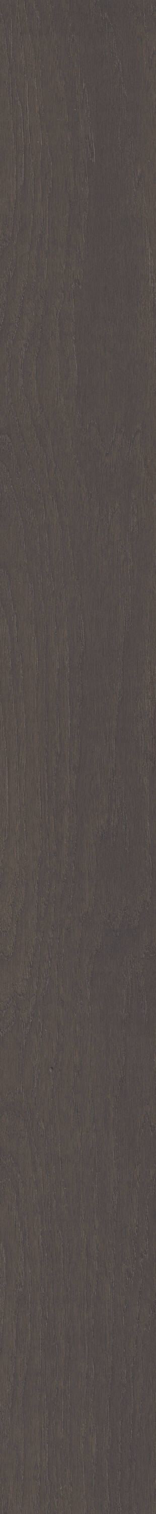 Shaw Hickory Bismarck hardwood flooring — lifestyle view