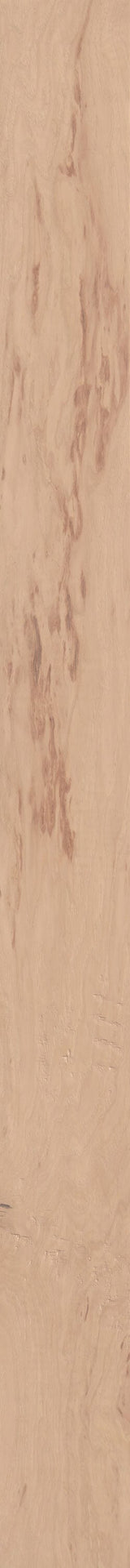 Shaw Hickory Williams hardwood flooring — lifestyle view