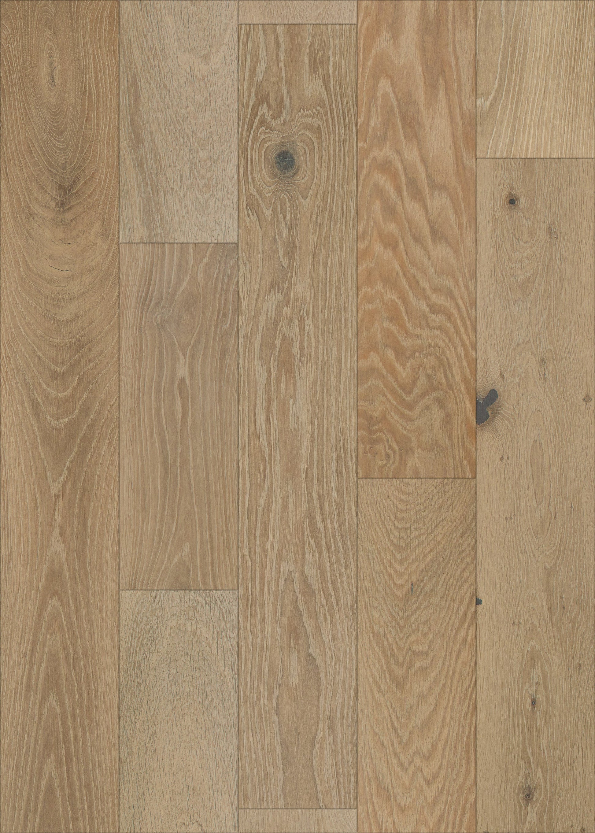 Shaw White oak Belmont Gardens hardwood flooring — lifestyle view