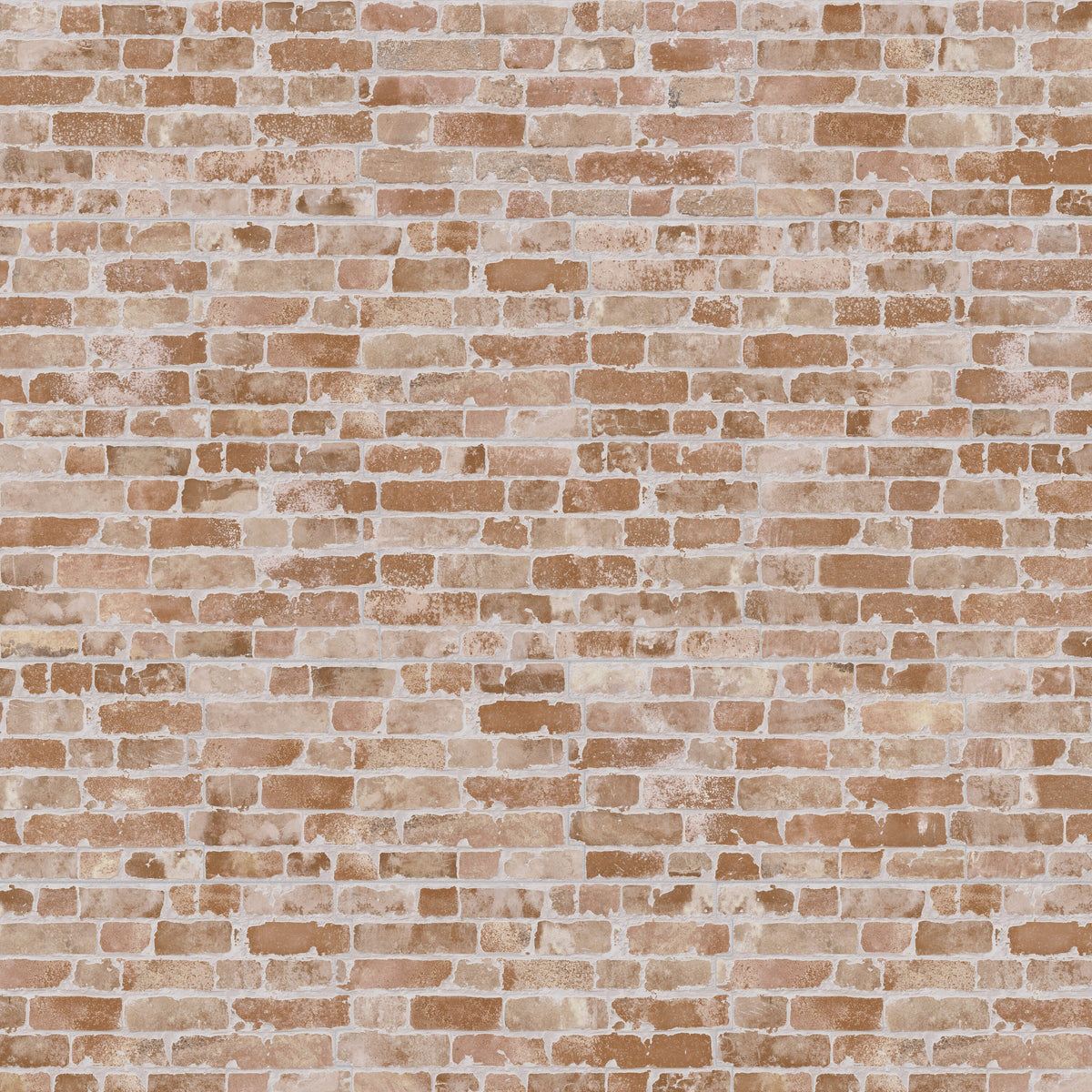 Affinity Tile Manhattan Cotto 12-in x 21-in Matte Porcelain Brick look Multi-shaped Wall Tile product image