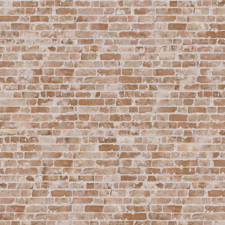 Affinity Tile Manhattan Cotto 12-in x 21-in Matte Porcelain Brick look Multi-shaped Wall Tile product image