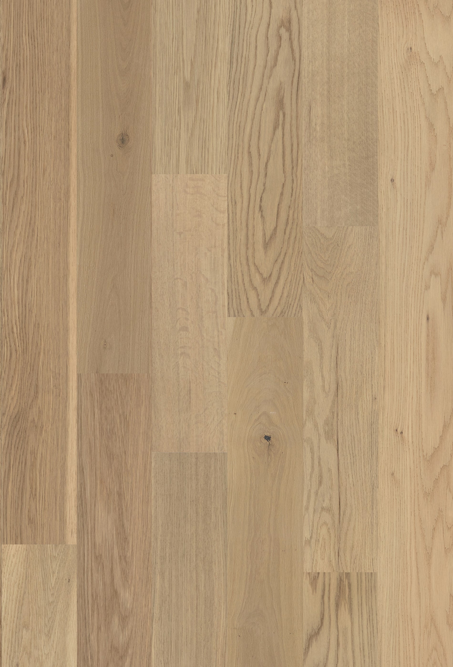 allen + roth White oak Firenze hardwood flooring — detail view