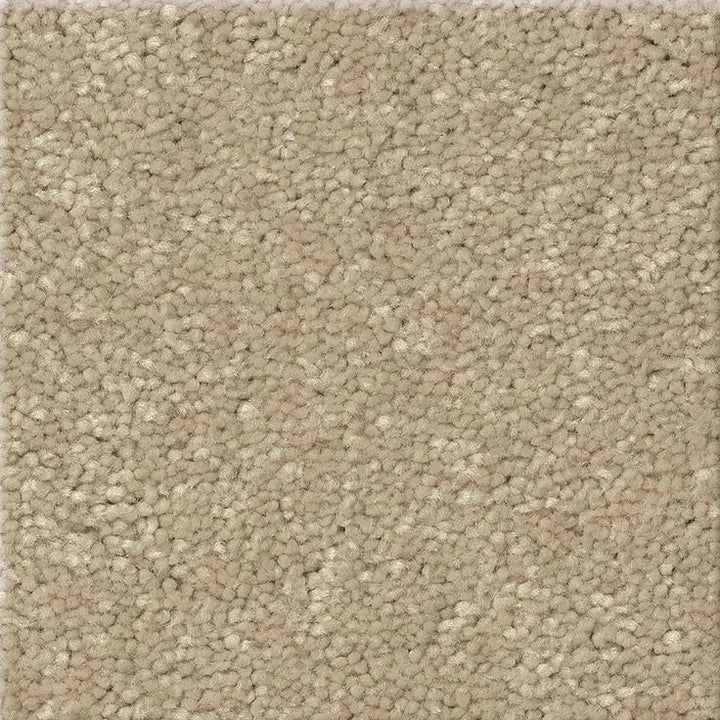 STAINMASTER Essentials Blue Diamonds III 12-ft Raw Lumber Textured Carpet (Indoor)