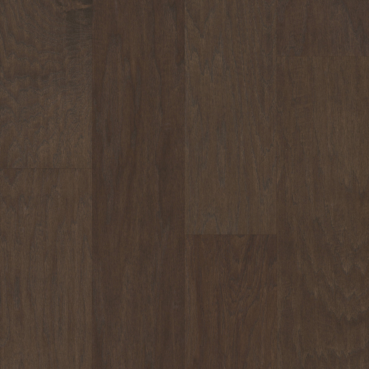 Shaw Hickory Cocoa hardwood flooring — primary plank view