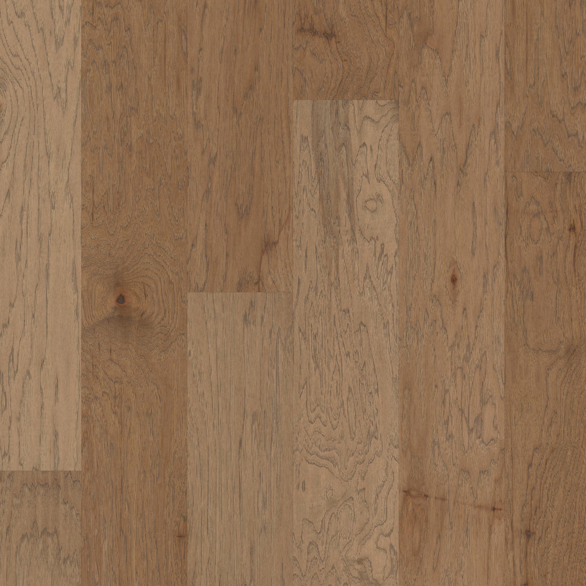 Shaw Hickory Serengeti hardwood flooring — primary plank view