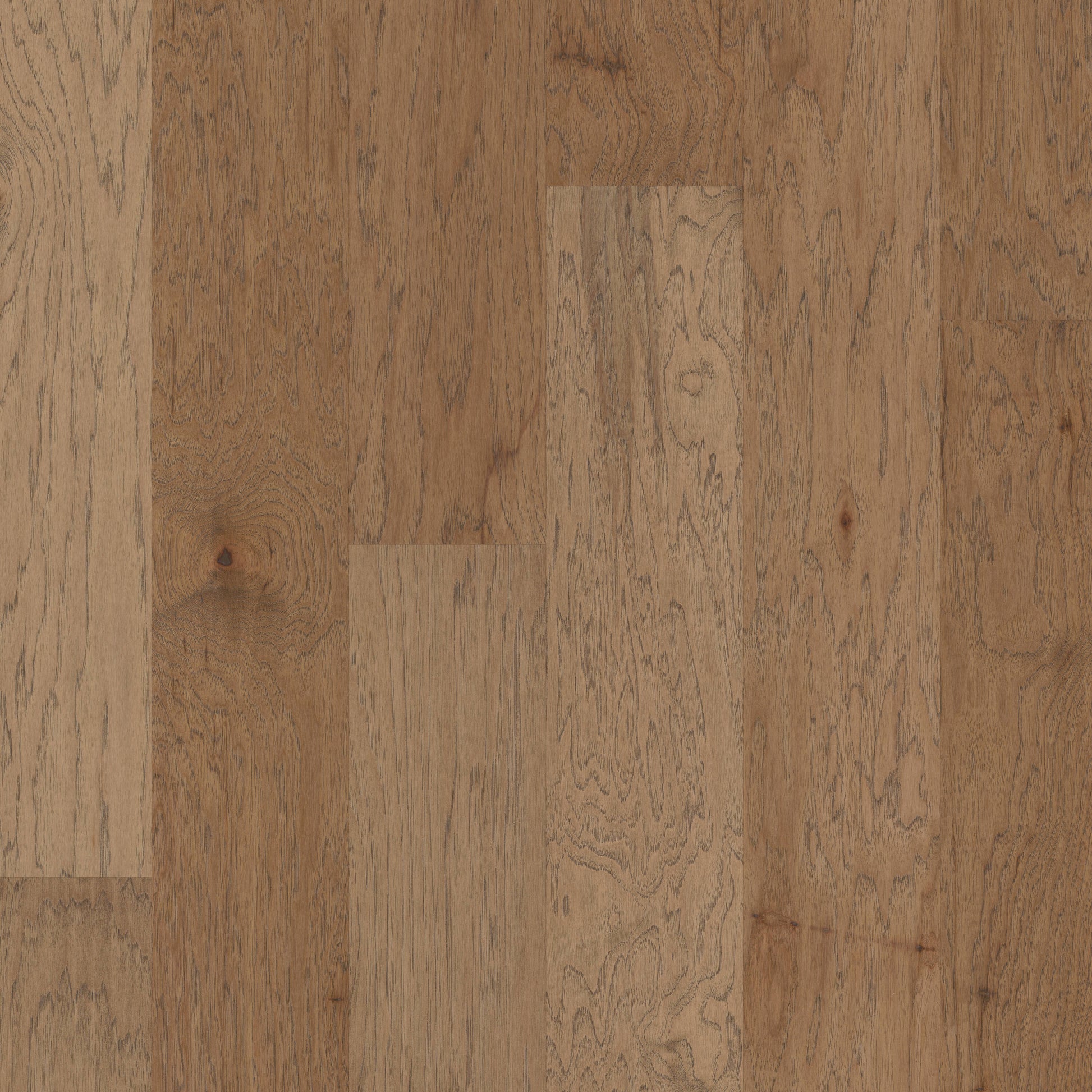 Shaw Hickory Serengeti hardwood flooring — primary plank view