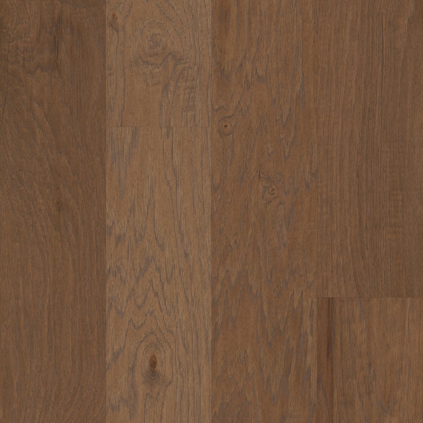Shaw Hickory Sepia hardwood flooring — primary plank view