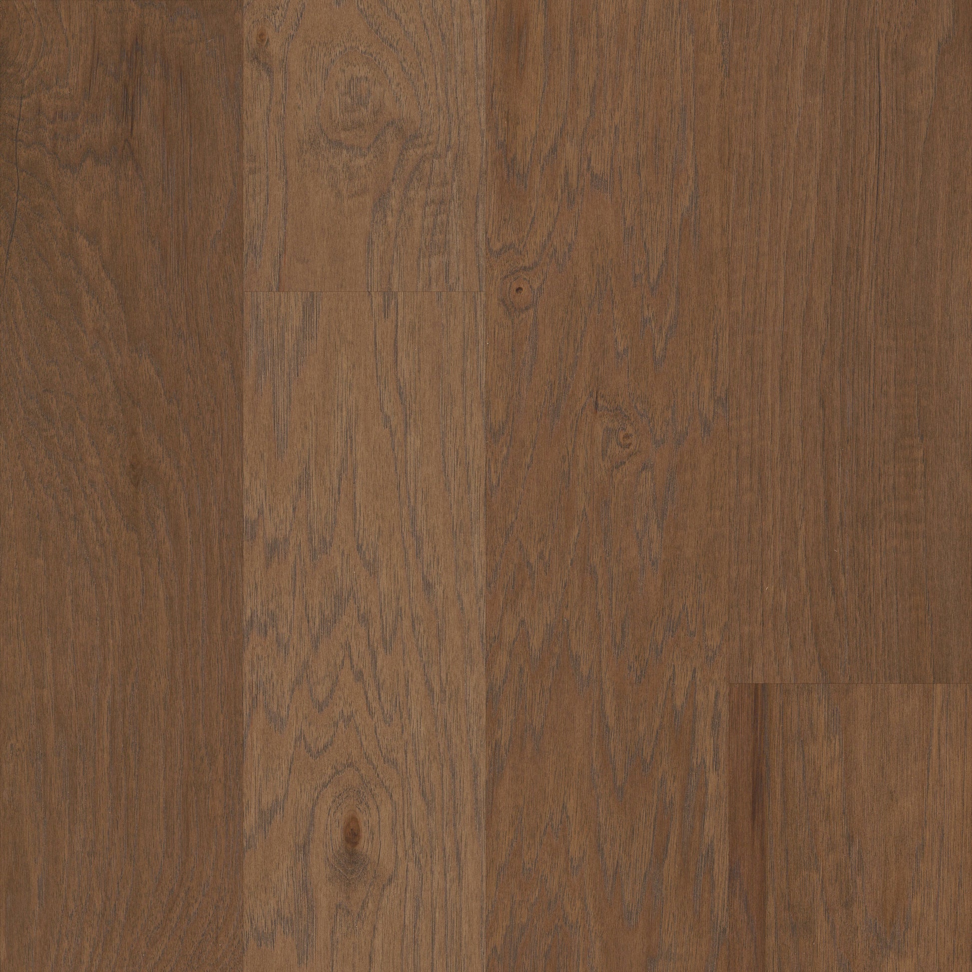 Shaw Hickory Sepia hardwood flooring — primary plank view