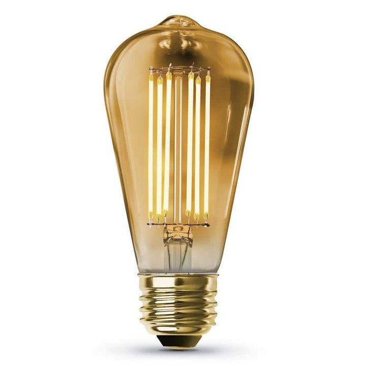 Feit Electric 100-Watt Equivalent ST19 Dimmable LED Amber Glass Vintage Edison Light Bulb With Straight Filament Warm White (12-Pack)
