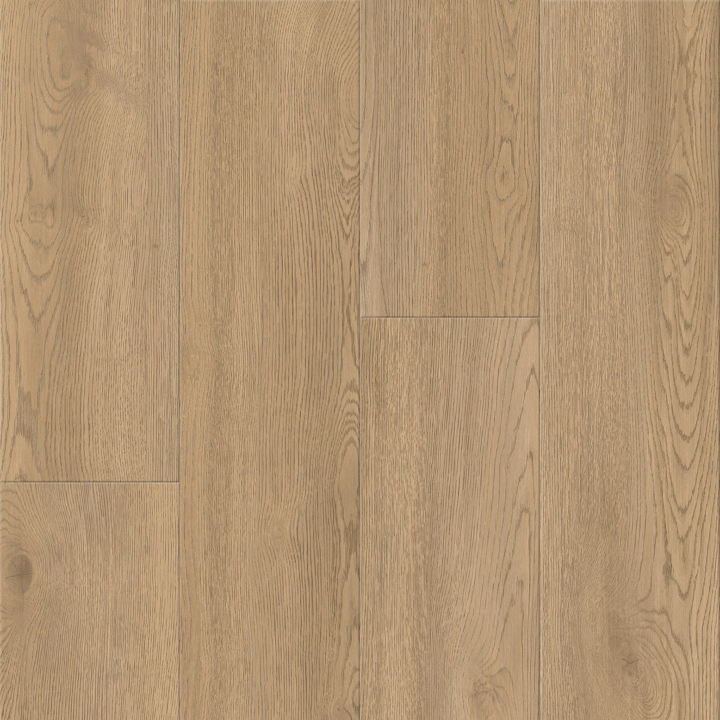 CALI Laguna Aliso Almond Wood Look Flooring Sample Pack - Waterproof, Scratch Resistant, 20-mil Wear Layer