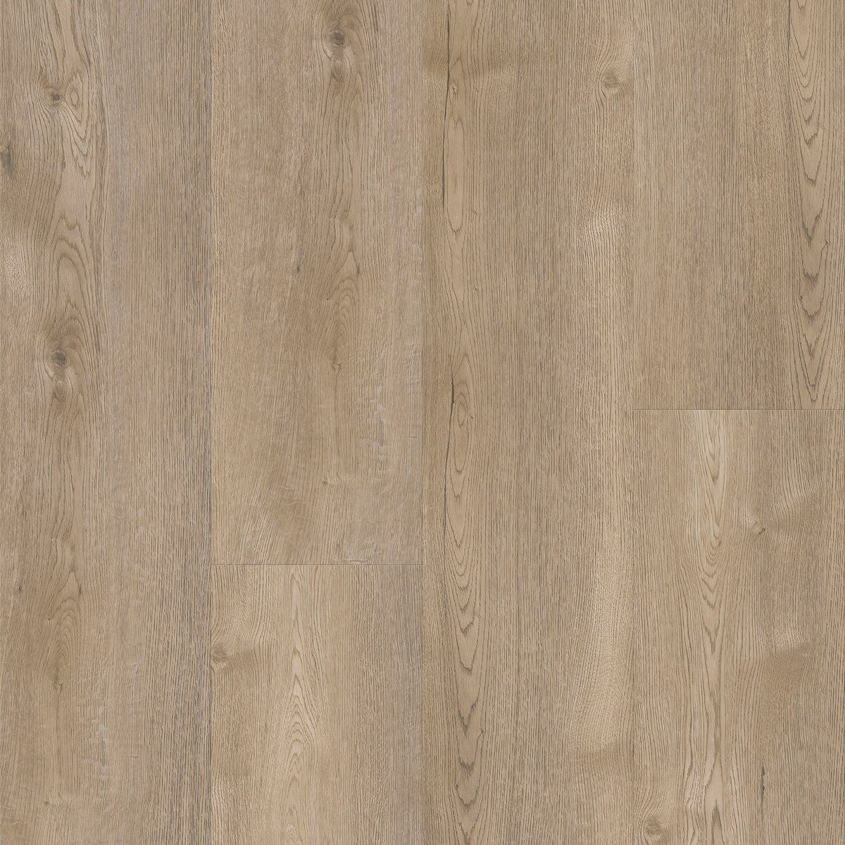 CALI Laguna Sawdust Stroll 20-mil Waterproof Loose Lay Flooring Sample Pack