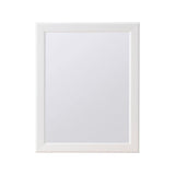 Style Selections 15.25-in x 19.25-in Rectangle Surface Mirrored Medicine Cabinet