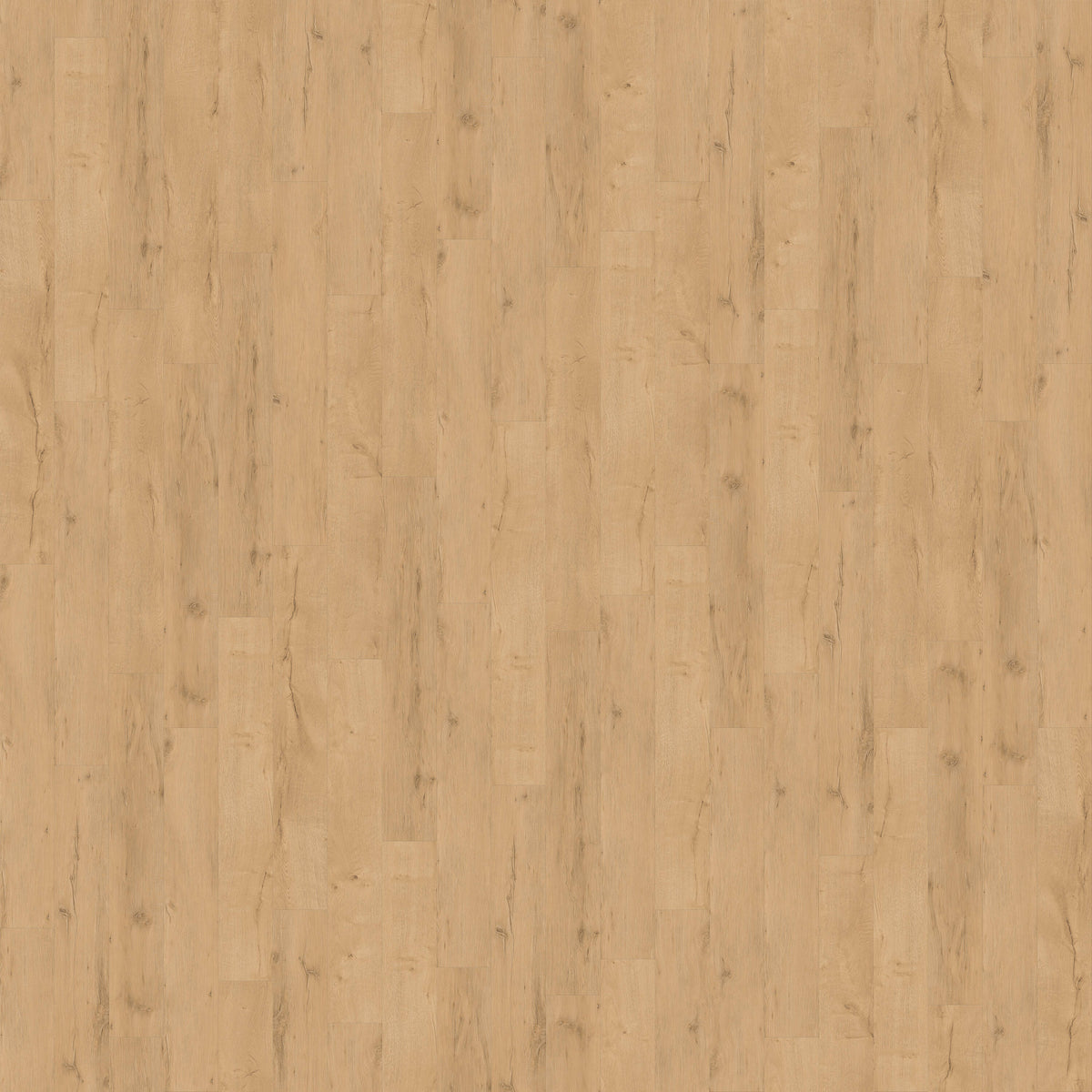 CALI Legends Hidden Palm 20-mil x 9-in W x 60-in L Waterproof Luxury Vinyl Plank Flooring