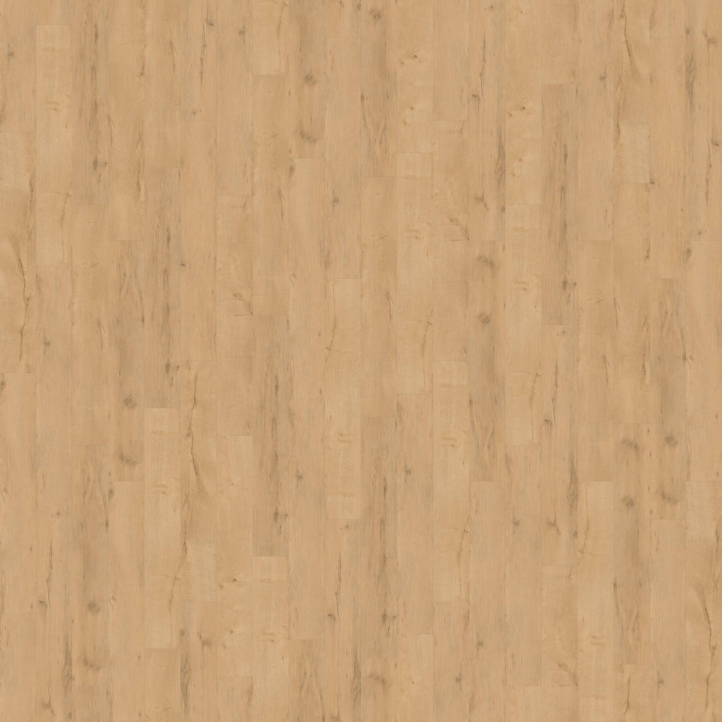 CALI Legends Hidden Palm 20-mil x 9-in W x 60-in L Waterproof Luxury Vinyl Plank Flooring
