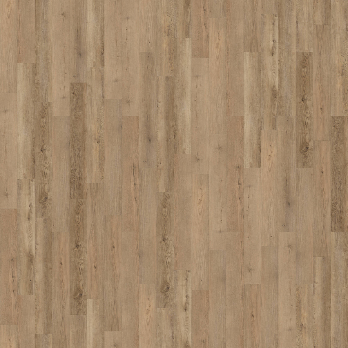 CALI Legends Oyster Isle Waterproof Vinyl Flooring Sample Pack - 20-mil Wear Layer
