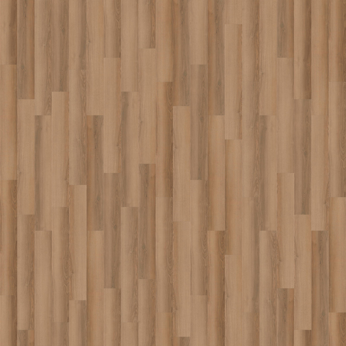 CALI Laguna Shore Thing 20-mil Waterproof Vinyl Plank Flooring - 18.15 sq ft Carton
