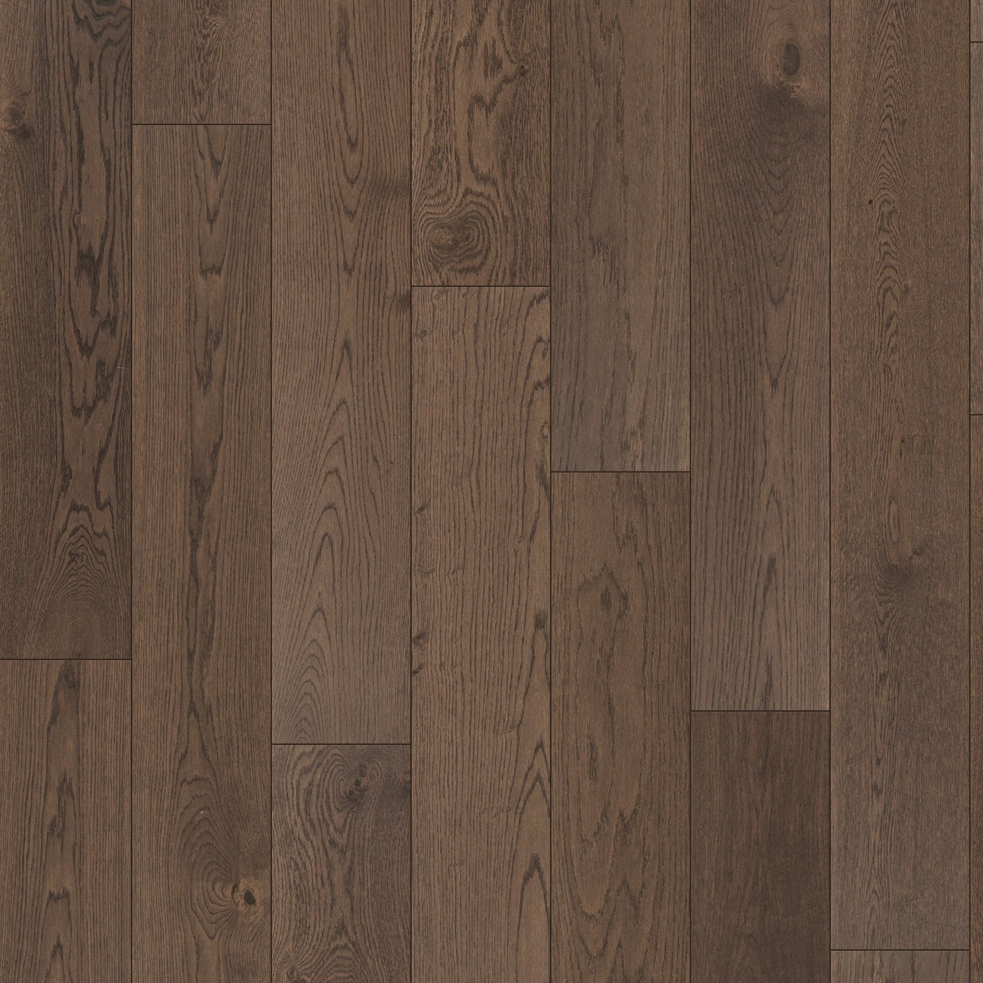 Element Flooring European white oak Tonic hardwood flooring — primary plank view