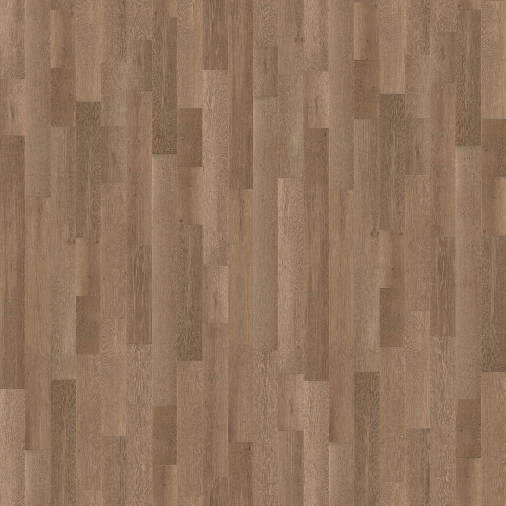 CALI European white oak California Cask hardwood flooring — primary plank view