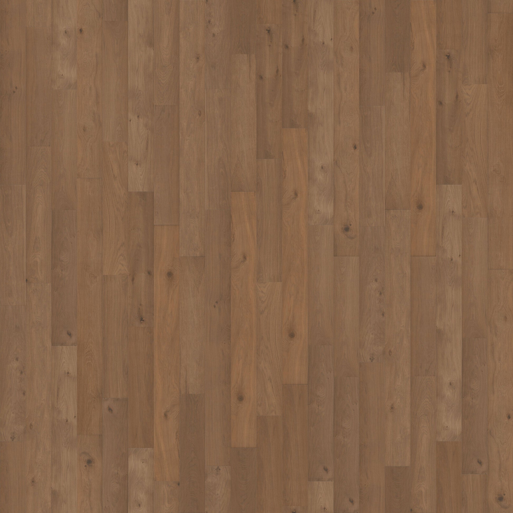 CALI European white oak Seacliff Sec hardwood flooring — primary plank view