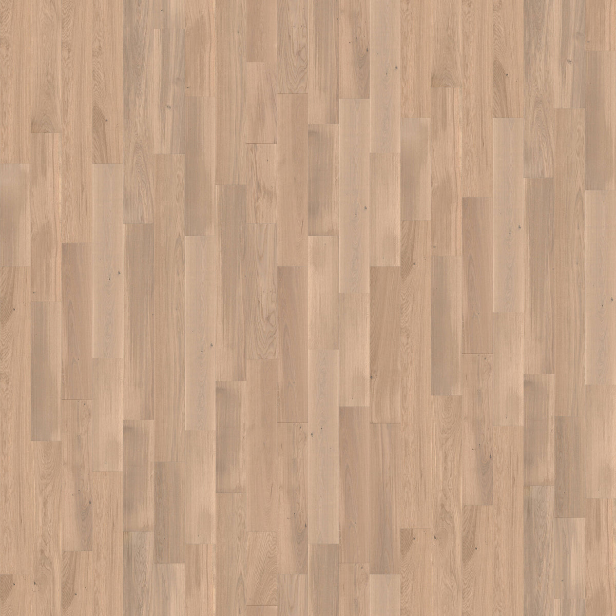 CALI European white oak Terra Rose hardwood flooring — primary plank view