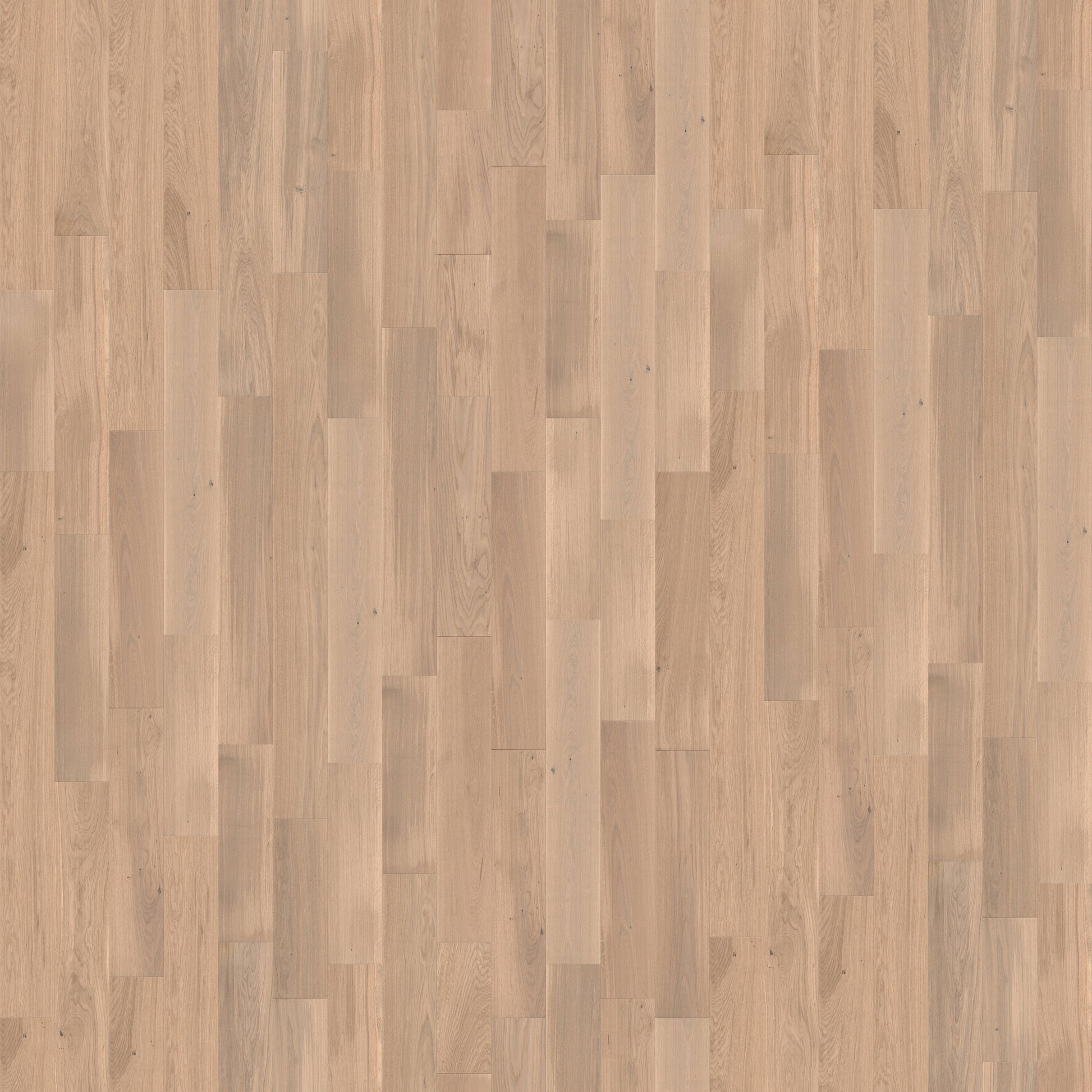 CALI European white oak Terra Rose hardwood flooring — primary plank view