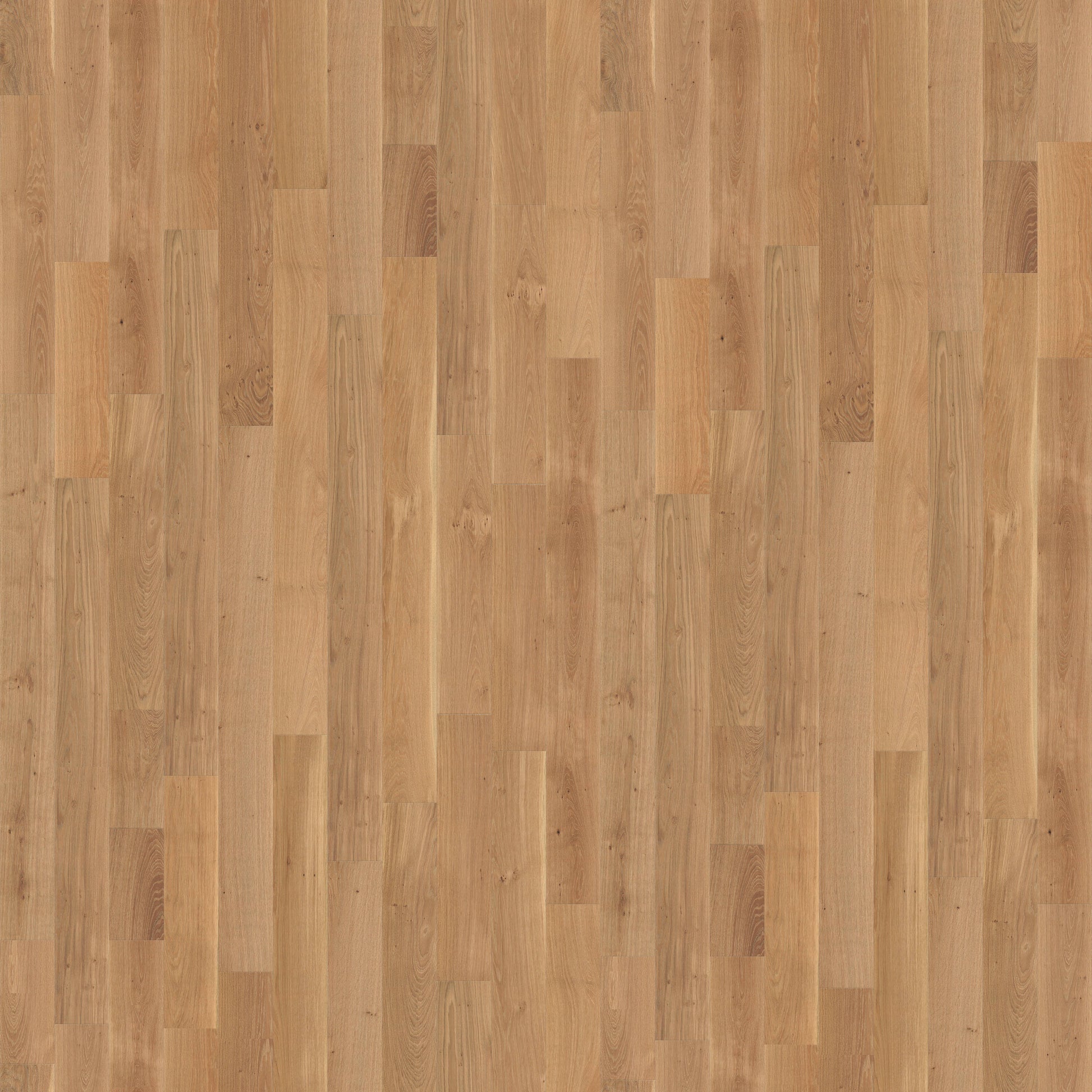 CALI European white oak Twilight Tannin hardwood flooring — primary plank view